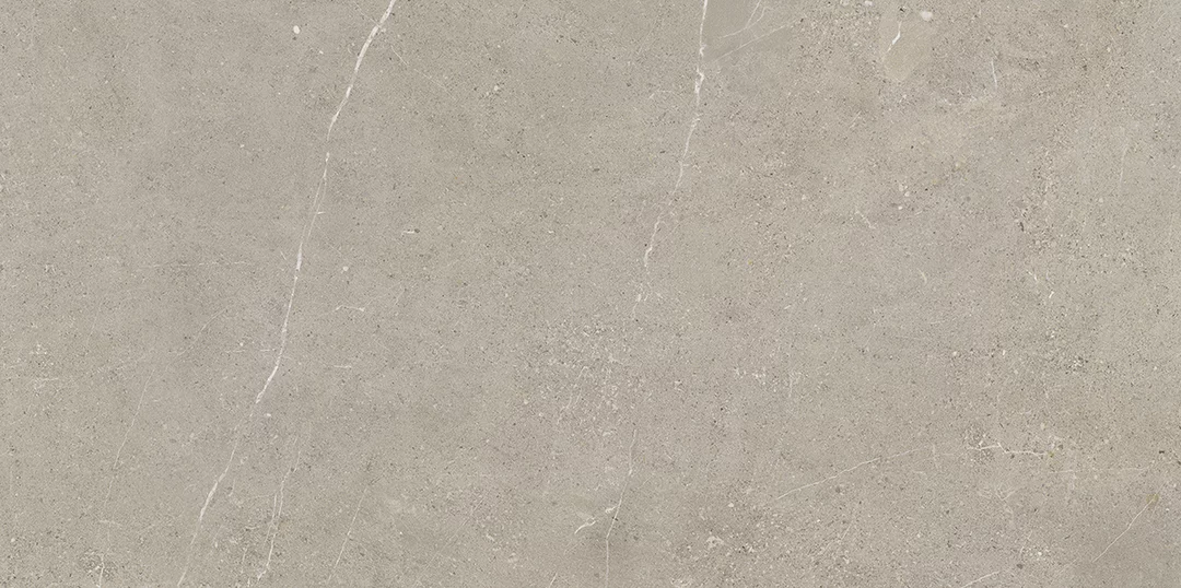 Solidis-Grey-mat-598-1198-T1.png Paradyz Solidis Grey 59,8x119,8 - Image 1