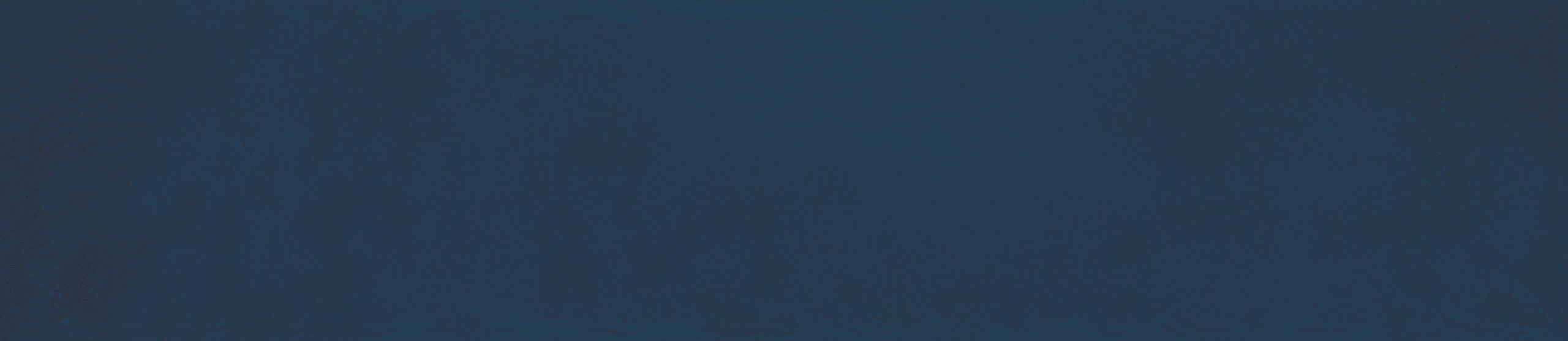 monpelli-navy-morfic-struktura-65x298-1-scaled-1.jpg Paradyz Monpelli Navy CEGIELKA STR POLYSK csempe - Image 1